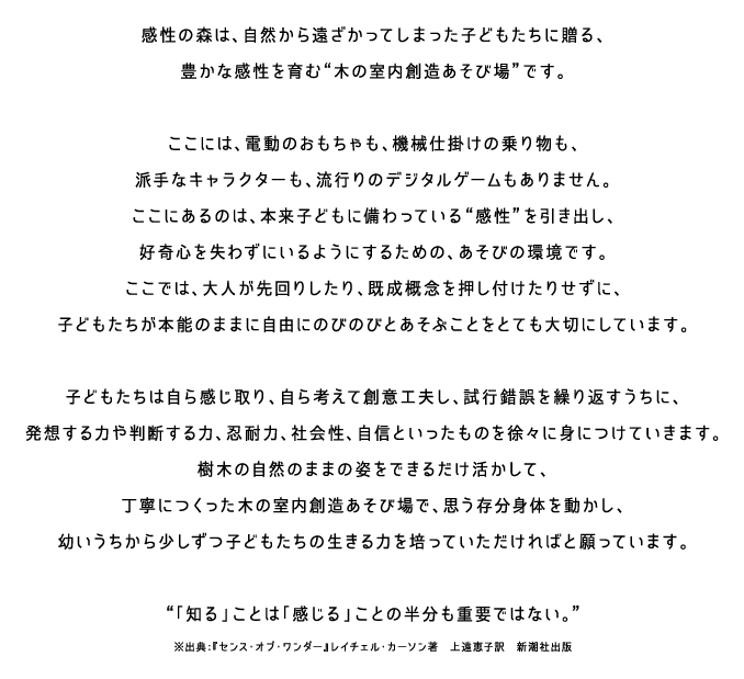 木の室内創造遊び場