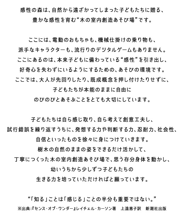 木の室内創造遊び場