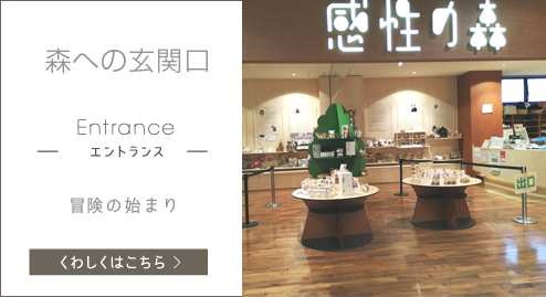 探究心と思考力を育む Entrance zone -エントランス・ゾーン-