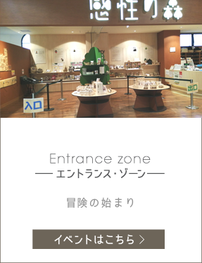 探究心と思考力を育む Entrance zone -エントランス・ゾーン-