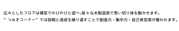 3歳からの子どものゾーン。広々としたフロアは裸足でのびのびと遊べ、5つの木製遊具で思い切り身体を動かせます。“つみきコーナー”では挑戦と達成を繰り返すことで創造力・集中力・自己肯定感が養われます。
