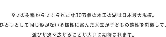 3歳以上対象のゾーン。9つの樹種からつくられた計30万個の木玉の湖は日本最大規模。ひとつとして同じ形がない多様性に富んだ木玉が子どもの感性を刺激して、遊びが次々広がることが大いに期待されます。