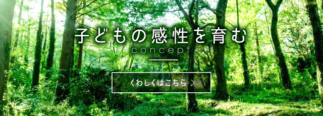 子供の感性を育む